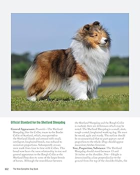 The New Complete Dog Book, 23rd Edition: Official Breed